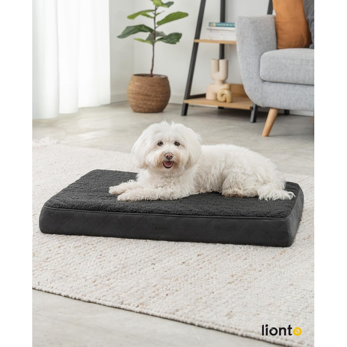 Ортопедичне ліжко для собак Lionto, 76x51x8 см, міцне, з м'яким плюшем, знімний та пральний чохол, водовідштовхувальне, підходить для собак та котів, чорний