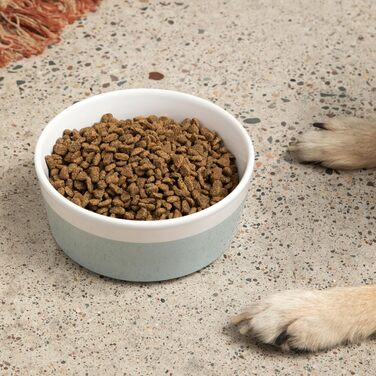 Миска для собак Waggo Dipper Ceramic – велика, для всіх порід, міцна, миється в посудомийній машині