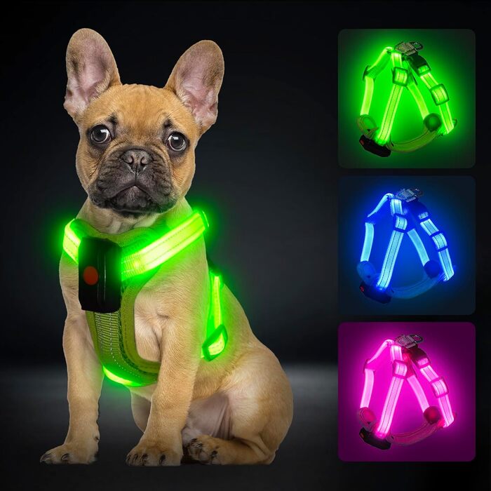 Світловідбиваючий нашийник для собак PZRLit з LED підсвічуванням, зарядний, для маленьких собак, XS, для безпечних прогулянок вночі (зелений)