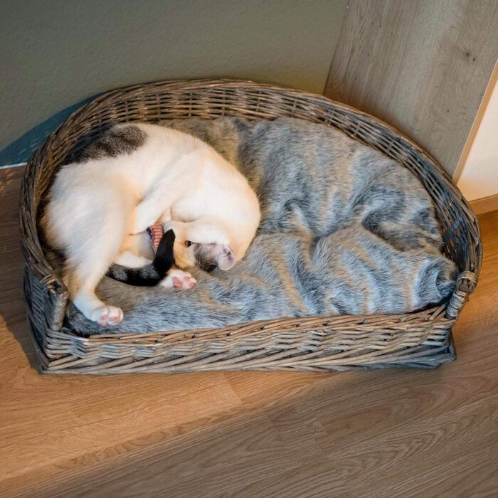 Кіжувалка для собак та котів UNU з лози та ротангу, сіра, 61 x 44,5 x 15,5 см (M)