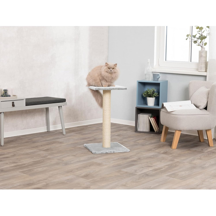 Trixie 43342 Cat Scratching Tree with Mirror, 69 cm, plated grey, 1 piece (1-pack)