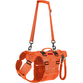 колір: помаранчевий