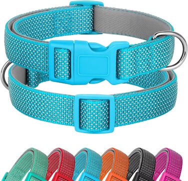 Світловідбиваючий нашийник для собак Didog з пряжкою, регульований, м'який неопрен, з підкладкою, нейлон, для малих, середніх та великих собак, зелений, L (M: Neck 25-43cm, Blue)