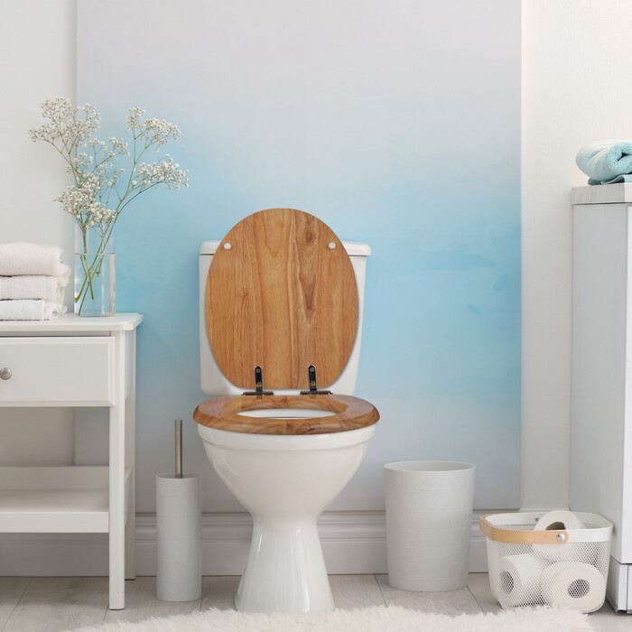 Relaxdays Toilet Seat with Soft-Close Mechanism