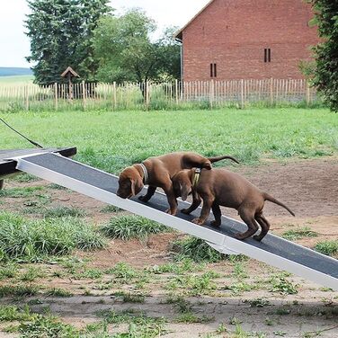 Рампа для собак Petigi - пандус в багажник авто, складаний, алюміній, 244 см