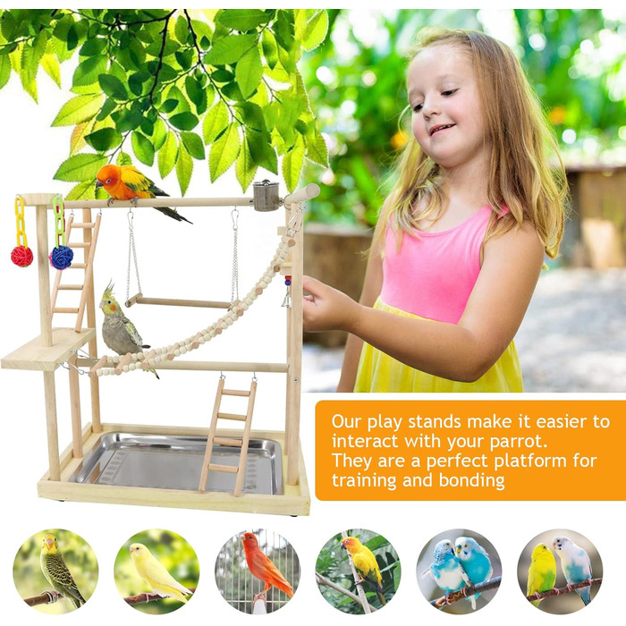Bird Playground, parakeet toys, bird play stand, bird gym, bird accessories, climbing frame ladder, running cage with feeder cups, tray, swing for budgies, canaries, parakeets, and other birds (#6)