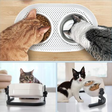 Підвищений годівниця для котів ALL FOR PAWS - 3-рівневий регульований підставка для мисок з 2 мисками з нержавіючої сталі (350 мл кожна), антиковзаюча та захищена від розливання, для кошенят, середніх та великих котів (56*30*20 см)