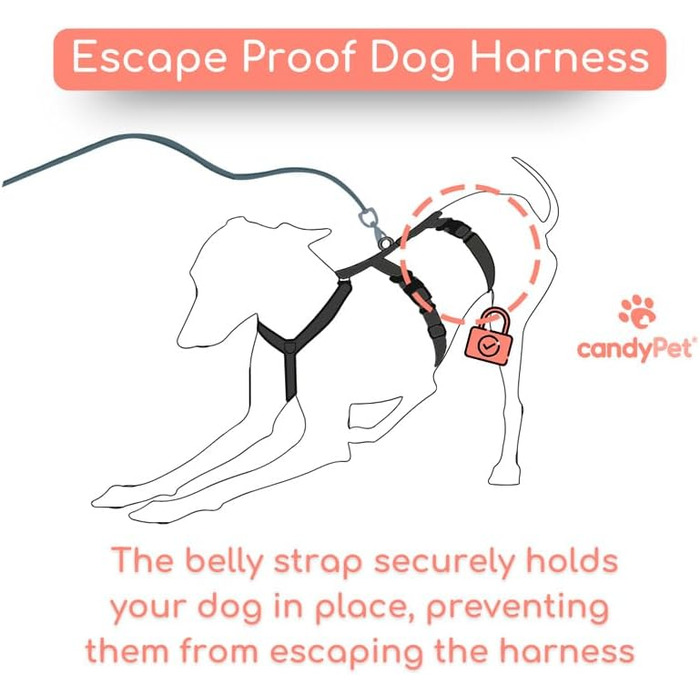 Шлейка для собак Whippet, Podenco, Італійський грейхаунд - антитягальна, для прогулянок, тренувань та бігу (Рожева, XS)