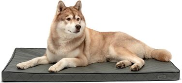 Ортопедичний килимок для собак Lionto з Memory Foam, 80x55 см, знімний чохол та антиковзаюче покриття