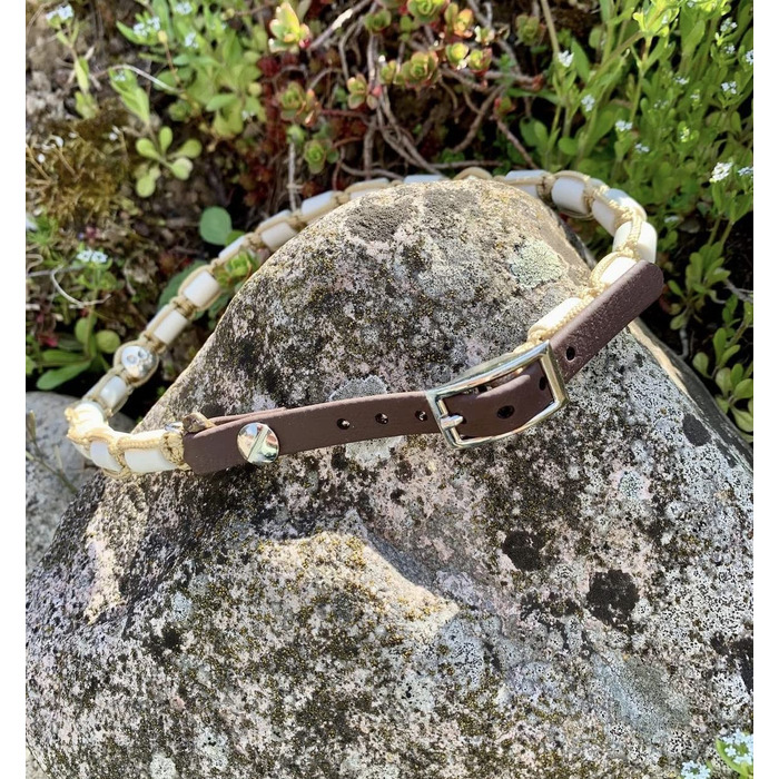 Нашийник для собак Pfoetchen-Welt EM-Keramik з паракорду. Персоналізація з ім'ям. Більше 100 000 варіантів.