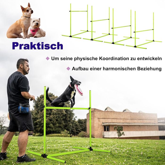 Набір для аджиліті собак 4-TLG, тренування з доріжками, регульована висота, з сумкою, PVC, зелений