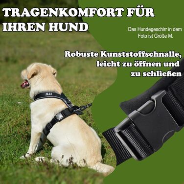 Нашийник для собак ILII Y - міцний, елегантний та комфортний. Унікальний дизайн для середніх та великих собак. Чорний, мінімальне покриття