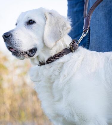 Сплетене шкіряне нашийник для собак – міцний ручної роботи, з високоякісної шкіри буйвола, Clarissa (M (36.0-45.0cm))