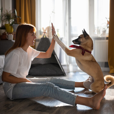 Relaxdays Felt Dog Tent