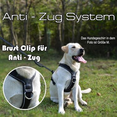 Нашийник для собак ILII Y - міцний, елегантний та комфортний. Унікальний дизайн для середніх та великих собак. Чорний, мінімальне покриття