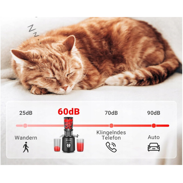 Вертикальна повільна соковижималка Aobosi MP-802 E, 250 Вт