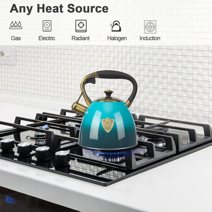 Чайник для плити Teekessel з нержавіючої сталі, 2,9 л (Блакитний)