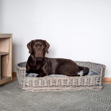 Крізьо для собак та котів UNU, плетений з лози та ротангу, сірий, 61 x 44,5 x 15,5 см (XL)