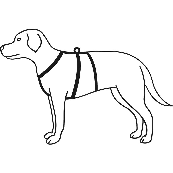 Миска для собак TRIXIE Stay, розмір M/L, 50-75 см, 20 мм, чорна