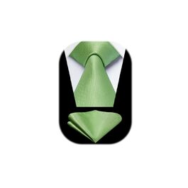 Краватка та нагрудна хустинка Enlision: класичний комплект для весілля, бізнесу та офіційних заходів (Salbei Grün)