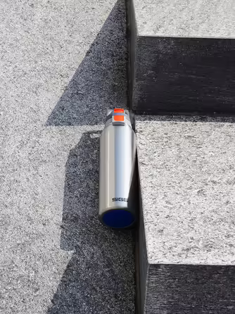 SIGG - Insulated Drinking Bottle - Thermos Flask Hot & Cold One - With Tea Strainer - Leak-proof - BPA-free - 18/8 Stainless Steel - 0.55 L
