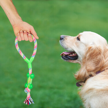 Relaxdays Dog Toy Set, 10-Piece