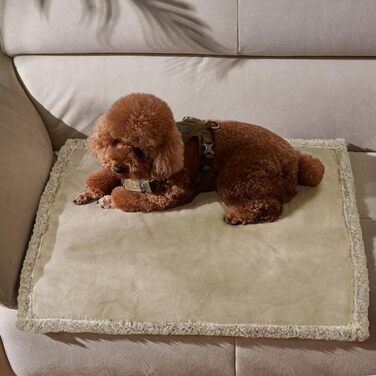 Водонепроникний плед для собак і котів, миючий, захисний, плюшевий, для великих собак, 150 x 120 см (XS 75 x 60 см, верблюжий/тауп)
