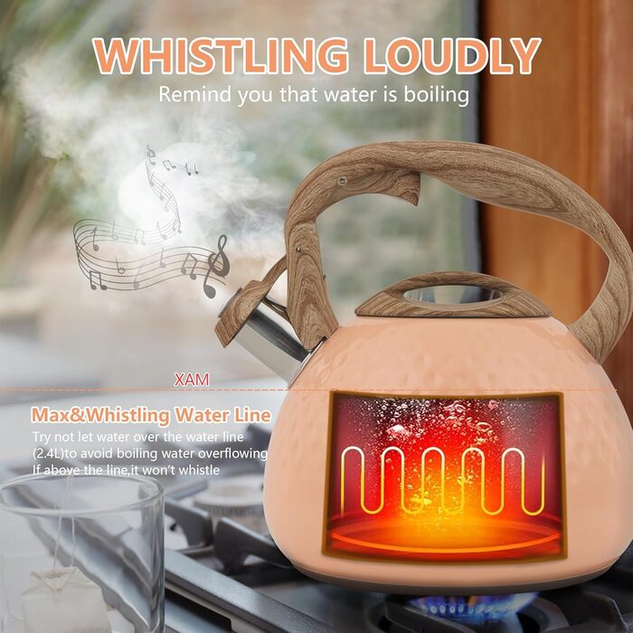 Чайник Harriet Teekessel для плити, 2,5 л, з флейтою, 5-шаровий, з нержавіючої сталі, з термостійкою ручкою, для газових та електричних плит, червоний, глянцевий (персиково-глянцевий)