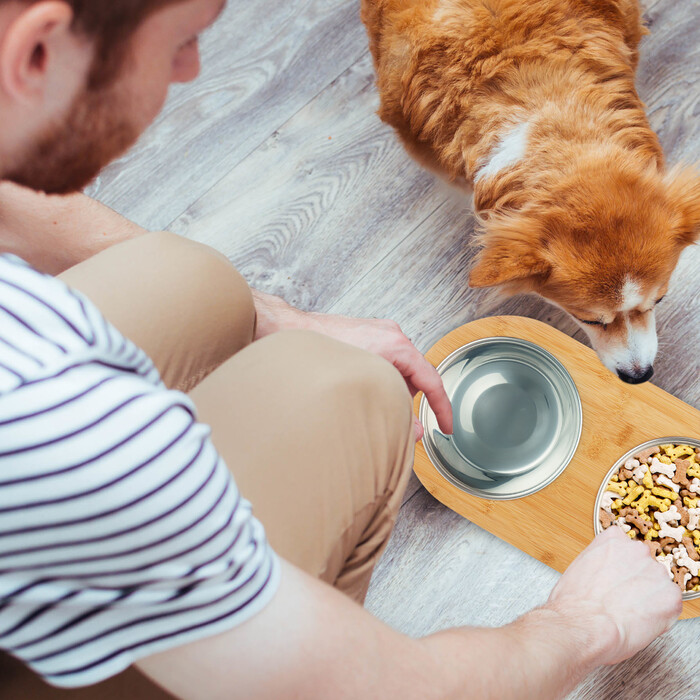Relaxdays Dog Feeding Bar with 2 Bowls