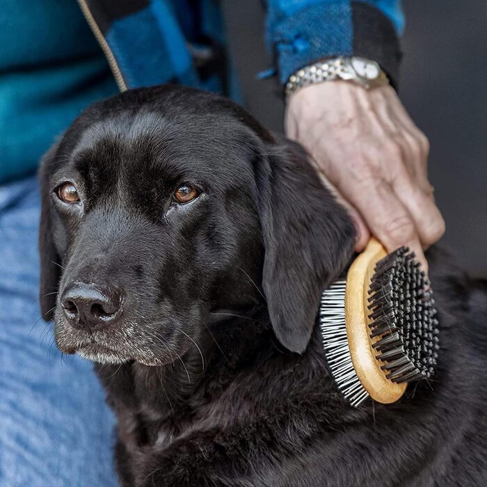 Щітка для собак та котів: для довгої та короткої шерсті, подвійна щітка, м'яка щітка для цуценят, собак та котів