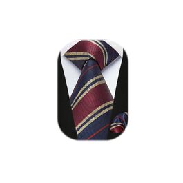 HISDERN Комплект краватки та нагрудного хустинки в смужку (Темно-синій/Бордовий) для чоловіків