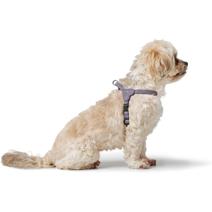 Нашийник для собак HUNTER SOHO MINI, чорний, з натуральної шкіри, м'який, не травмує шерсть, легкий, для маленьких собак та цуценят, Made in Germany, розмір XS