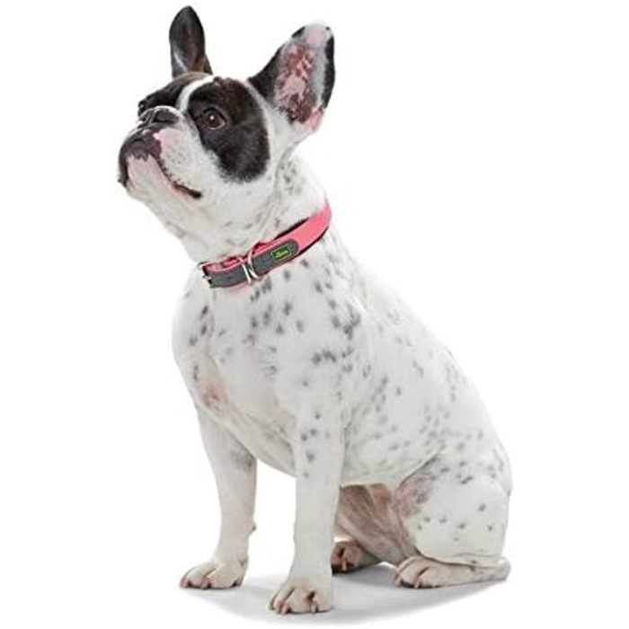 Нашийник для собак HUNTER CONVENIENCE COMFORT, неоново-рожевий, з неопреновою підкладкою, стійкий до погодних умов, легкий у догляді, для спорту та відпочинку, розмір 50