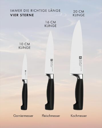 Набір кухонних ножів ZWILLING Vier Sterne, 3 предмети, нержавіюча сталь, Made in Germany