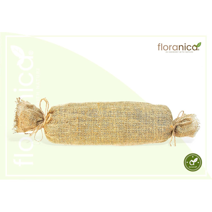 Floranica Climbing Plant Support Rank Grid - Length 150cm, Width 50cm. Made of natural willow, with ecological twine and a jute bag. Ideal support for roses, climbing plants, vegetables, and vines.