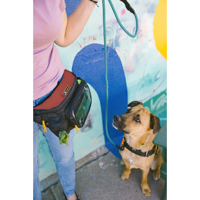 Пакет OllyDog Trailblazer для собак: поясна сумка для ласощів, кулька, диспенсер для відходів, водонепроникний, для прогулянок та тренувань, універсальний розмір (Cider)