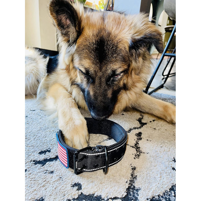 Нашийник для собак K9, тактичний, військового стилю, 5.1 см, міцний нейлон, для великих собак, прапор США (50.8 - 71.1 см, чорний)