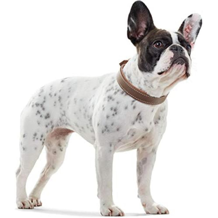 Нашийник для собак HUNTER PORTO, шкіряний, чорний/cognac, 30 см, ручної роботи