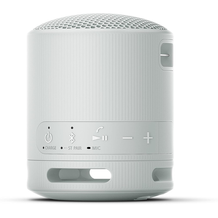 Портативна Bluetooth колонка Sony SRS-XB100: Водонепроникна (IP67), до 16 год роботи, сірий