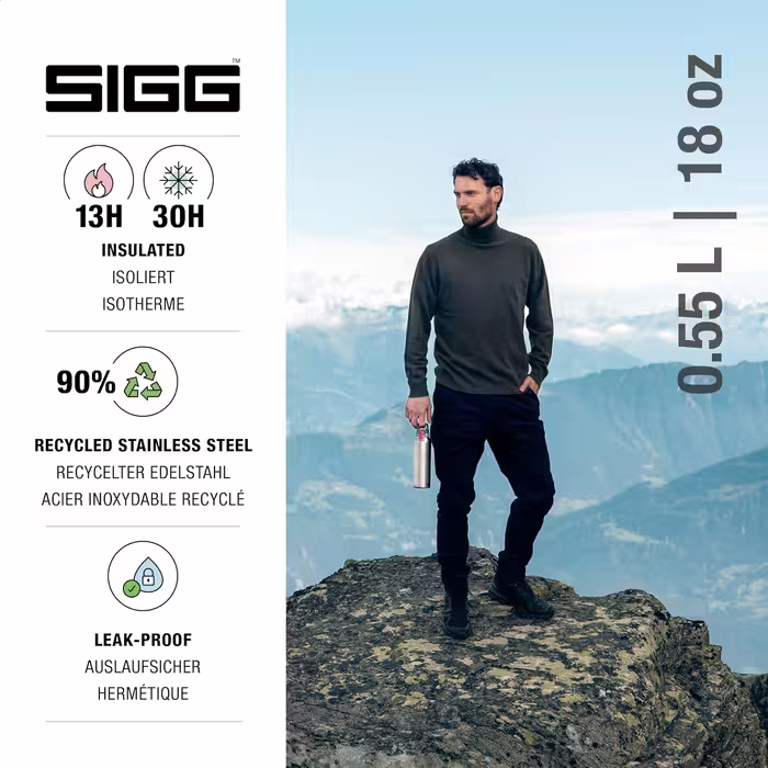 SIGG - Insulated Drinking Bottle - Thermos Flask Hot & Cold One - With Tea Strainer - Leak-proof - BPA-free - 18/8 Stainless Steel - 0.55 L