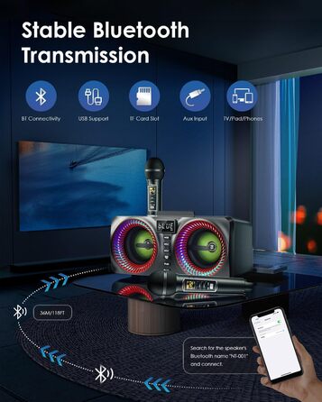 Караоке система All-in-One з Bluetooth, 2 мікрофонами та акустикою 30W, для вечірок (Red2)