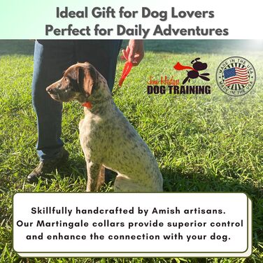 Нашийник для собак JI HODGES Artigale, біотана, нержавіюча сталь, проти потягування, професійна якість, Extra Large (Оранжевий/Західний (Sunset Chevron))