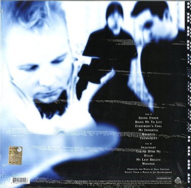 Fallen – Vinyl LP платівка (Evanescence) – Оригінальне видання