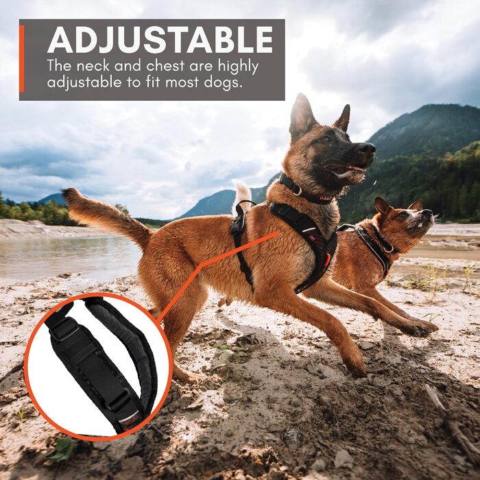 Шлейка для собак Non-Stop Dogwear Rock Harness, розмір M, чорний колір