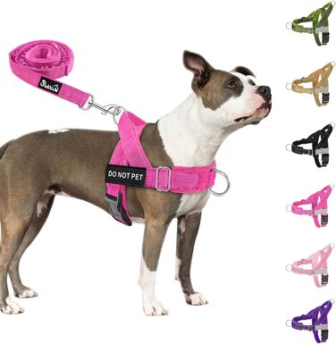 Нашийник для собак Eyein для великих та середніх порід, м'який, з 2 застібками, світловідбиваючий, легкий, анти-тяга, для прогулянок та тренувань (S, Маджента)