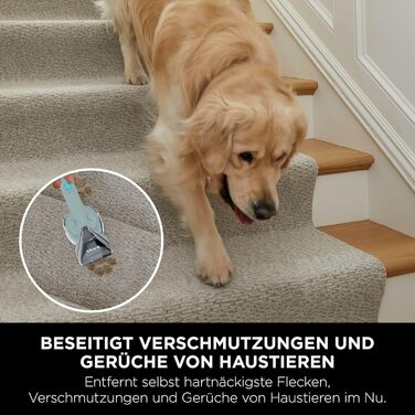 Shark Бездротовий видальник плям, портативний пилосос для прання та видалення запахів, HX100EUCP (2 засоби для чищення StainStriker)