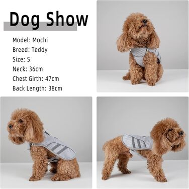 LiebeDD Cooling Vest for Dogs Summer Cooling Jacket for Dogs, Adjustable Breathable Mesh Dog Vest with Harness D-Ring Warning Vest Dog Coat for Small Medium Large Dogs, L (Chest 63-80cm)