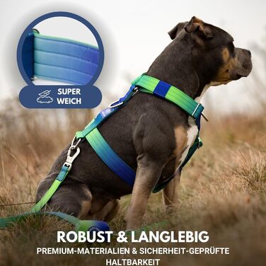 Шлейка для собак Spark Paws No Pull для великих порід, з переднім кріпленням, Y-подібна, міцна та надійна, Lime Wave, L (36-68 кг)