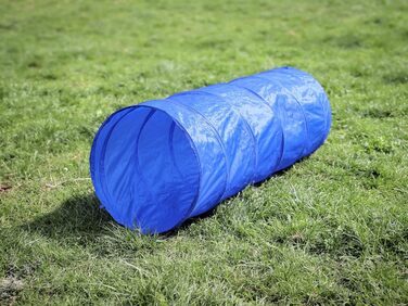 Набір для дресирування собак Agility: тунель, обруч, бар'єри, слалом, стійки