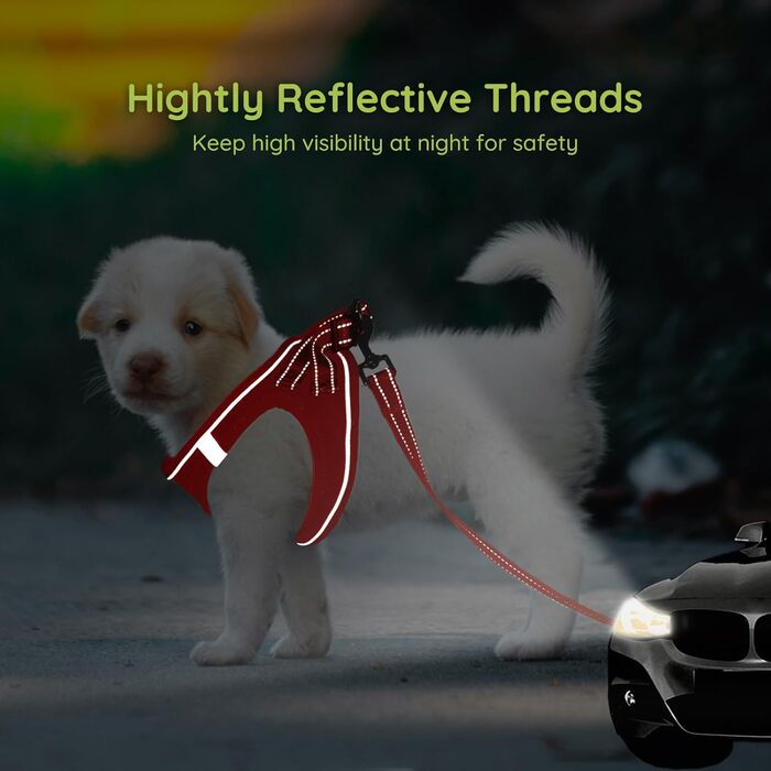 Шлейка для собак BELLA & PAL для маленьких собак з повідком, Step-in шлейка з Air Mesh, анти-тяга, світловідбиваюча, дихаюча, для цуценят, котів, червона, XS (30-35 см обхват грудей)